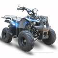 ATV ATA110-D